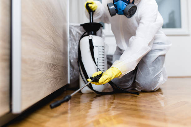 Best Emergency Pest Control  in Stapleton, AL
