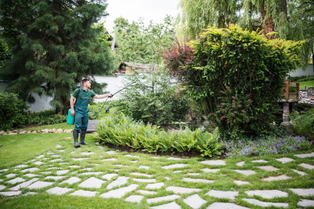 Best Residential Pest Control  in Stapleton, AL