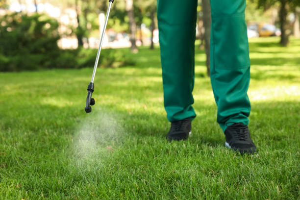 Reliable Stapleton, AL Pest Control Solutions