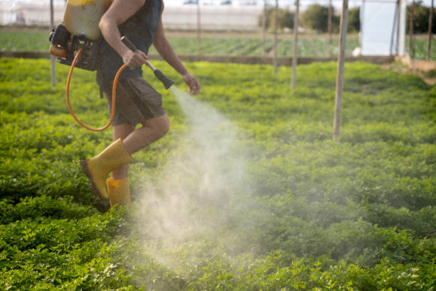 Best Best Pest Control Companies  in Stapleton, AL