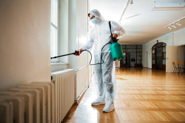 Best Affordable Pest Control Services  in Stapleton, AL