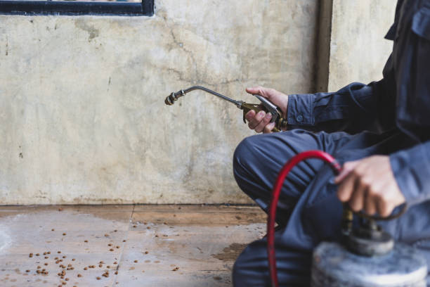 Best Affordable Pest Control Services  in Stapleton, AL