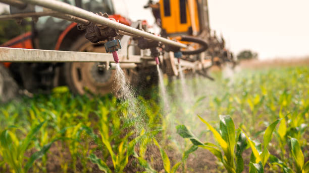 Best Insect Control  in Stapleton, AL